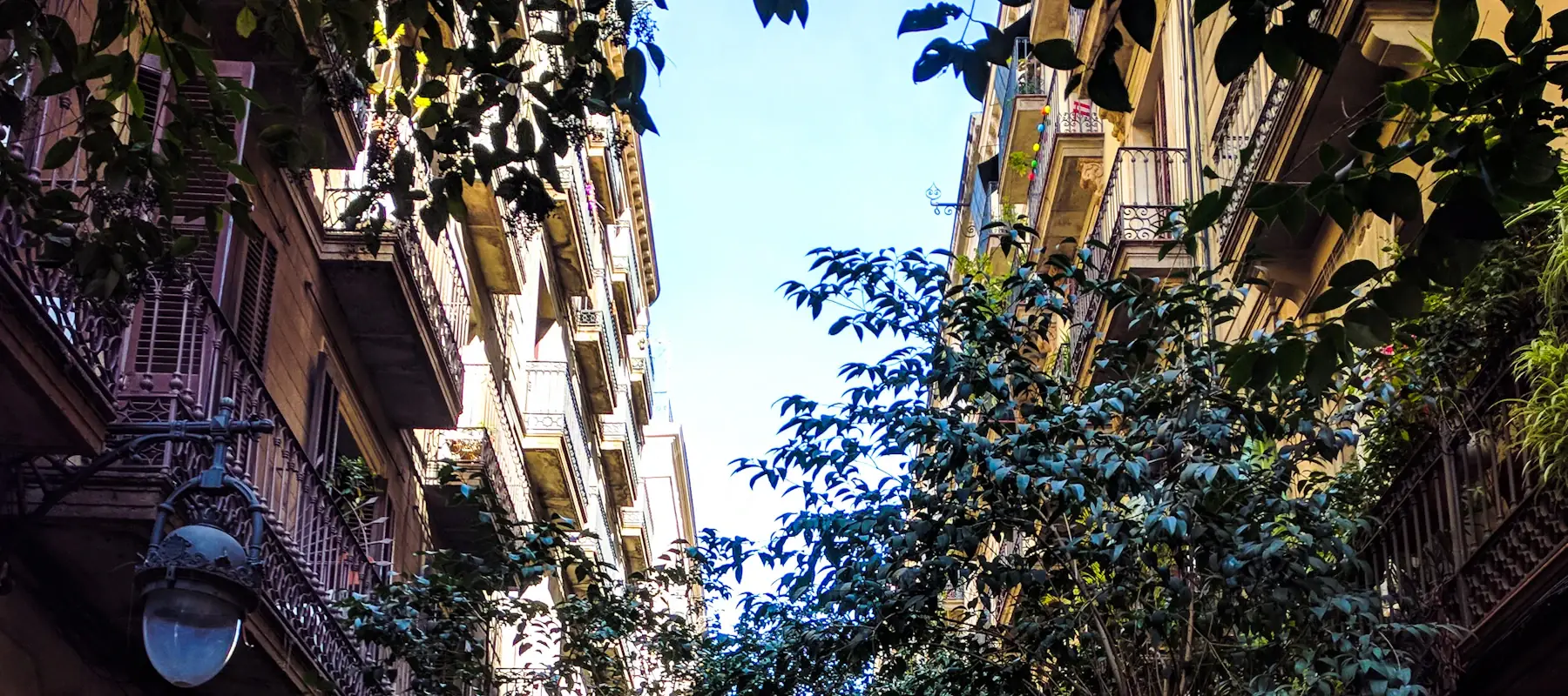 Calle estrecha de Barcelona con árboles y balcones